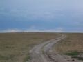 Mt. Sunflower in the distance.jpg